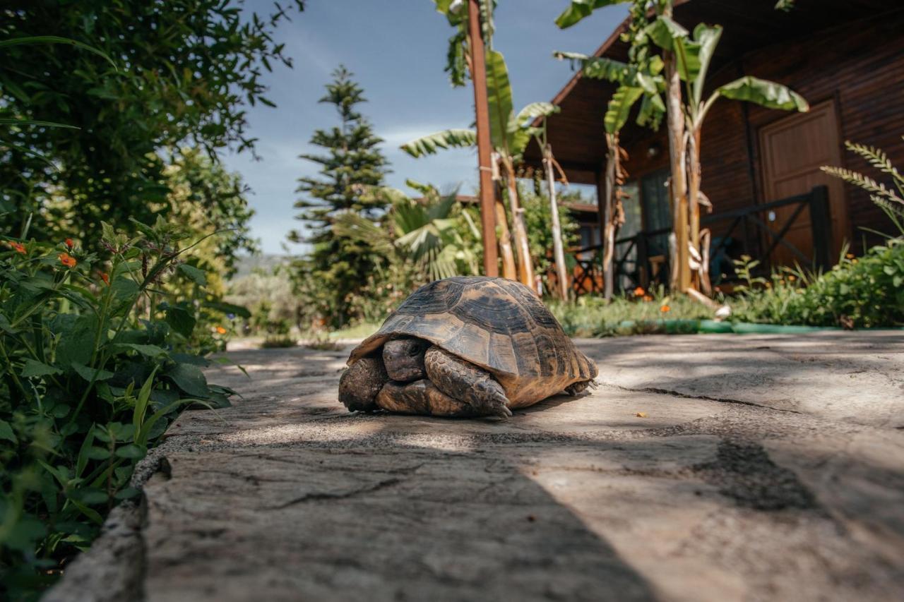 Serenity Bungalows Чирали Екстериор снимка